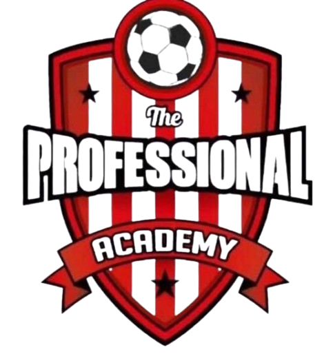 أكاديمية بروفيشنال 2014