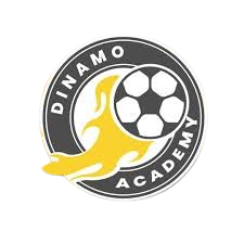 أكاديمية دينامو 2014