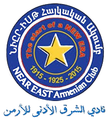 الشرق الأدنى 2011